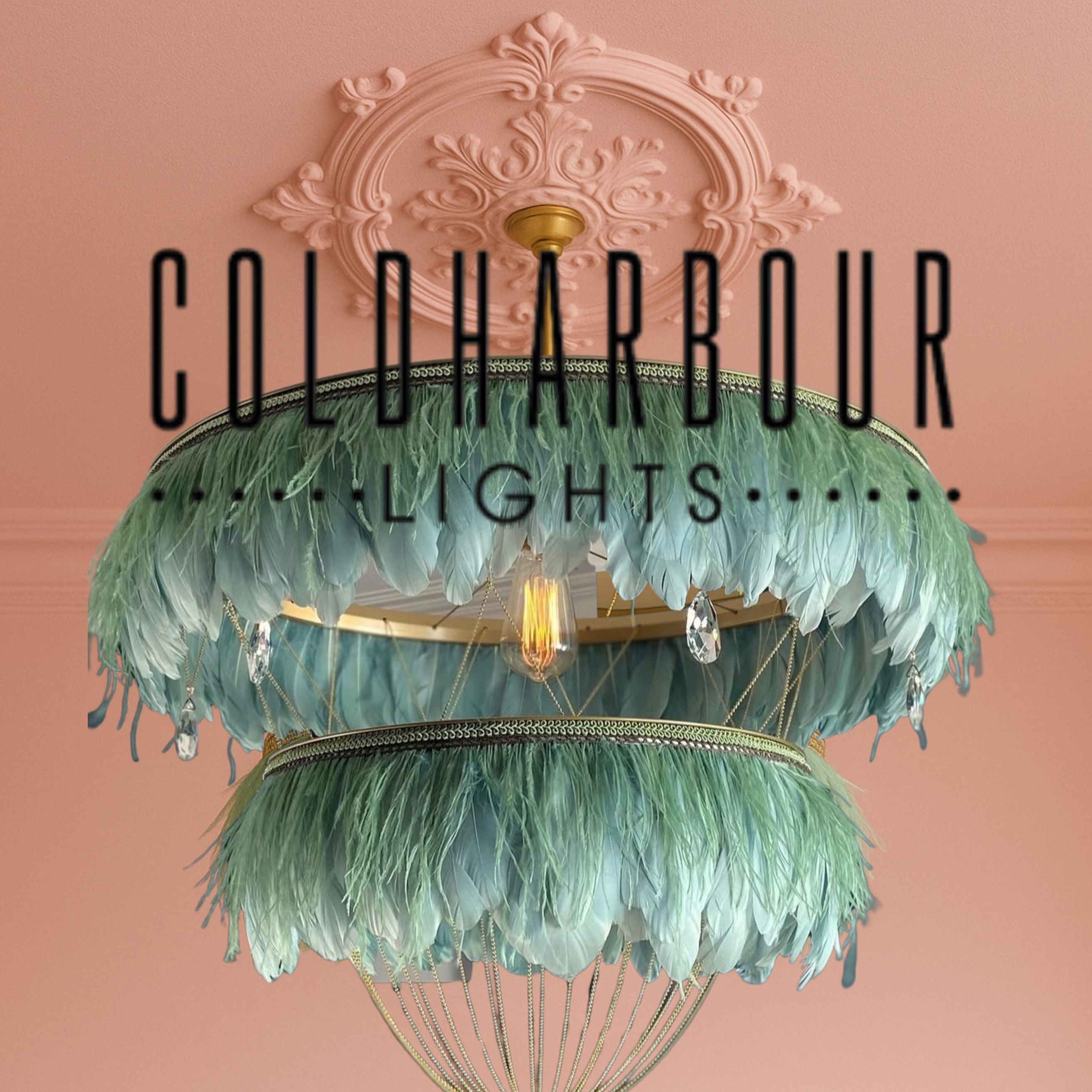 COLDHARBOUR LIGHTS - Lizzie Onion's Emporium