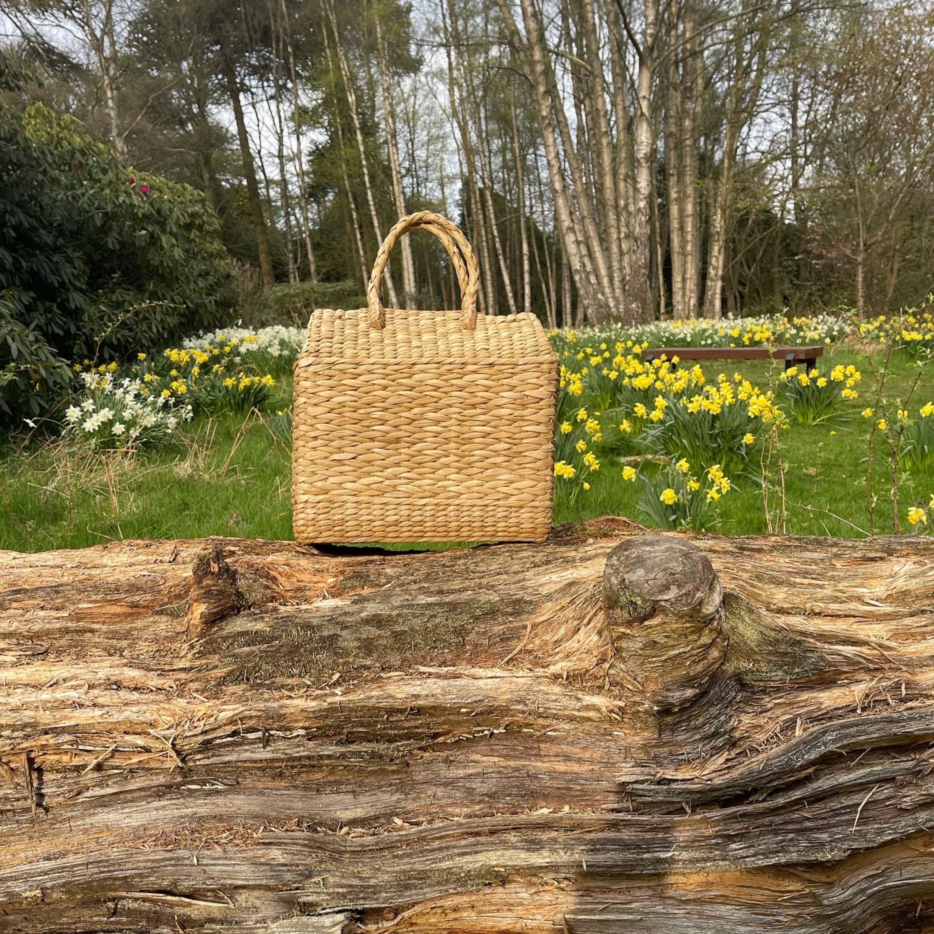 Joy Picnic Bag Large