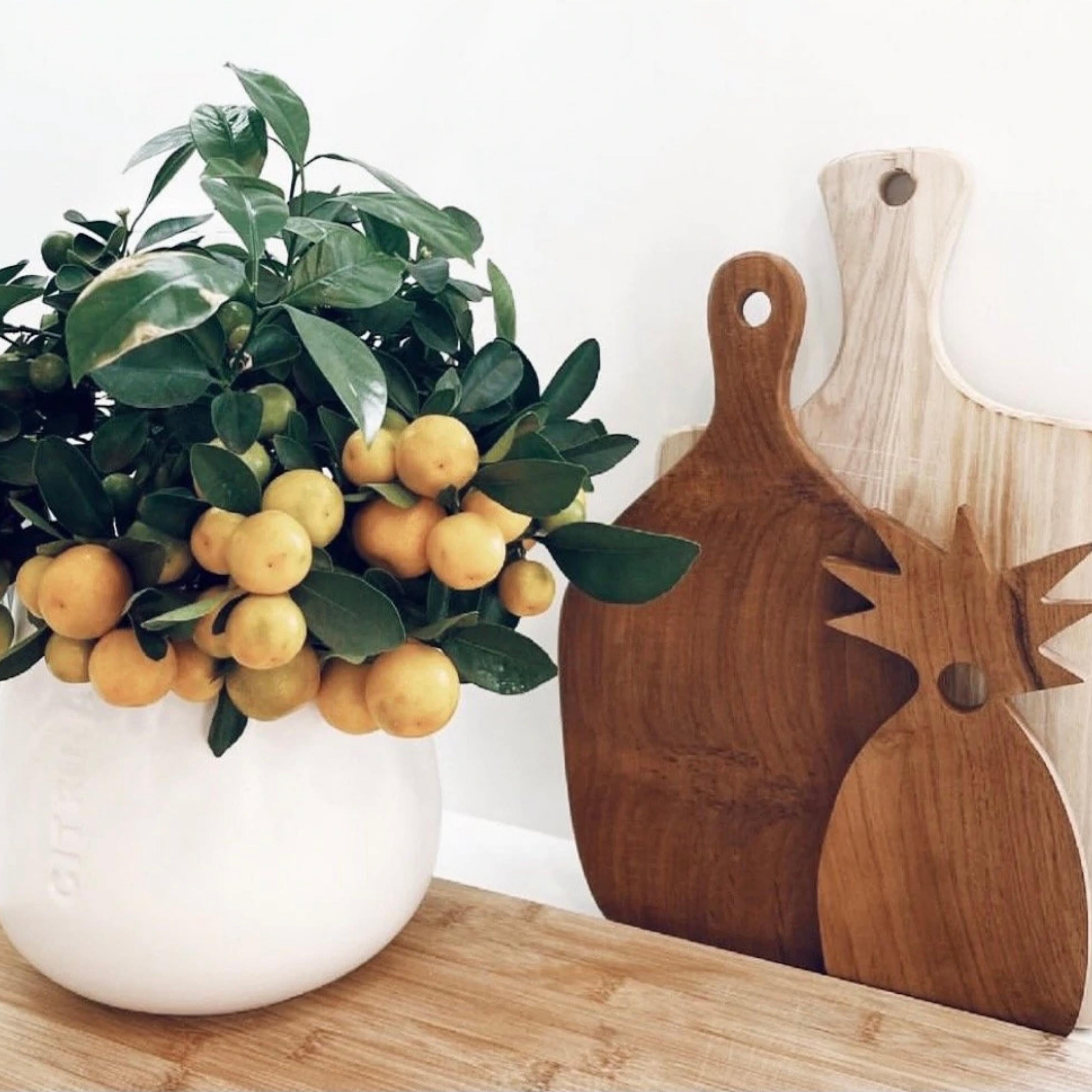 Teak Serving Plate - Atauro