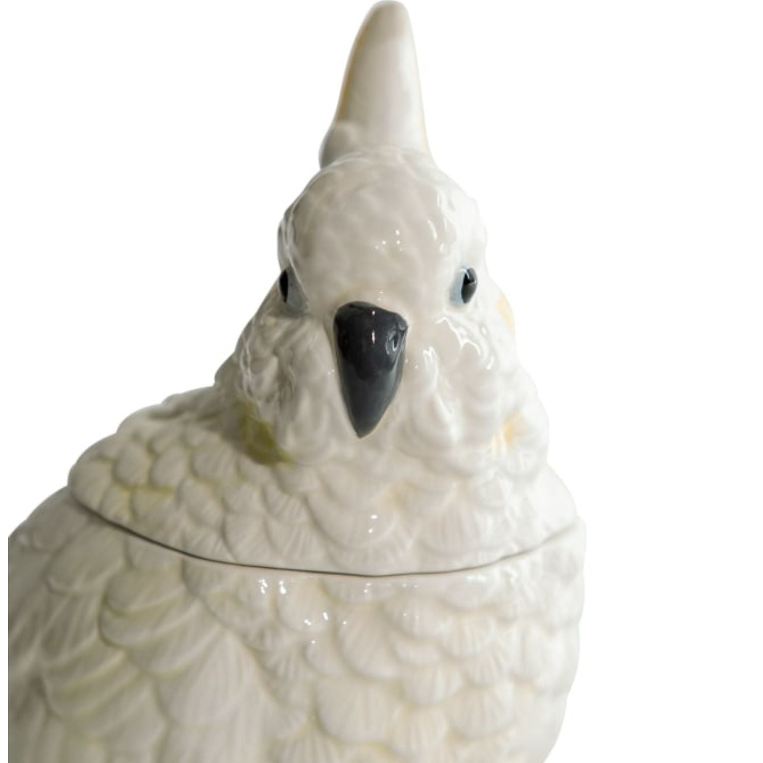Close-up of glossy white ceramic parrot storage jar showing detailed feathers and black beak on a white background, elegant decorative piece by Lizzie Onion’s Emporium.