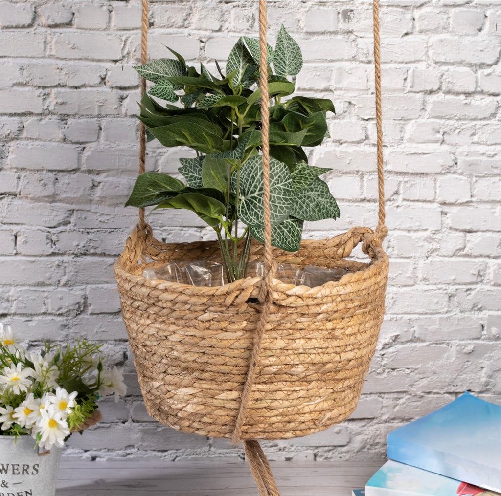 Two Tier Hanging Seagrass Planter