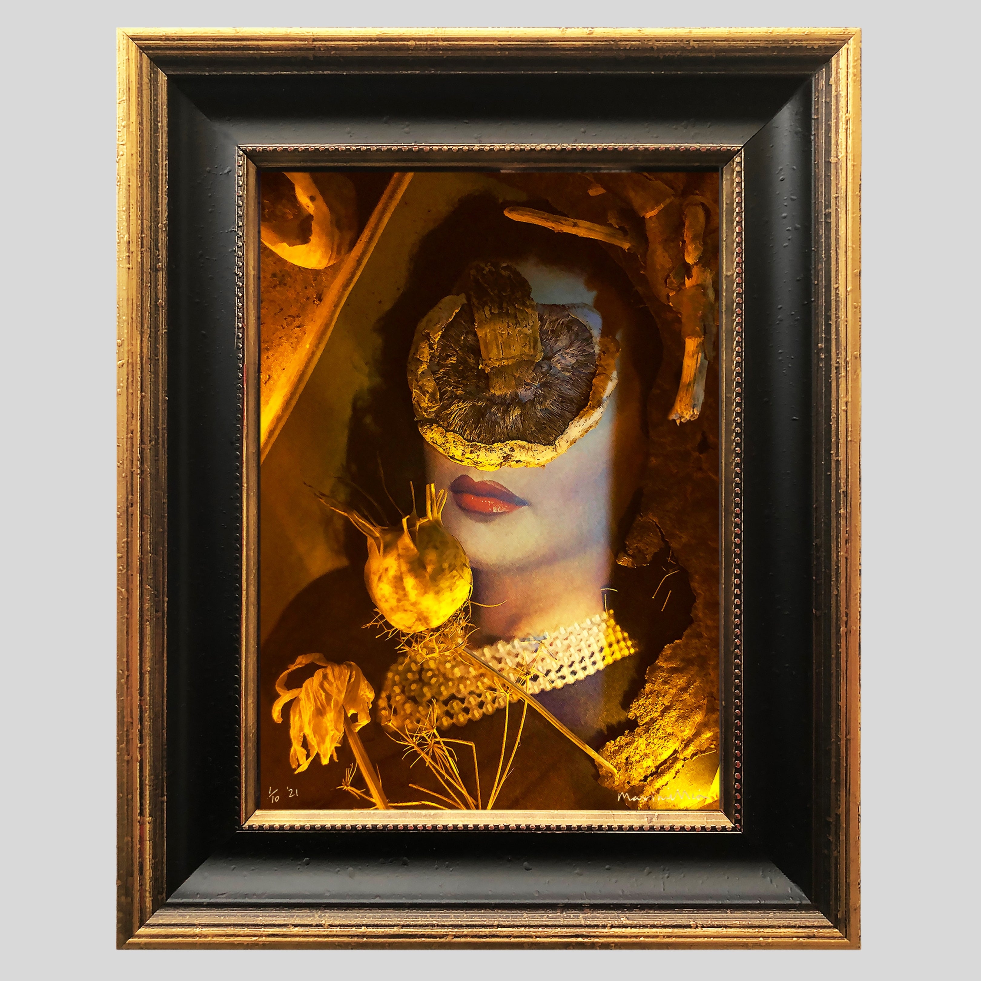 Limited Edition Pair of Prints Entitled Domino & Amanita Virosa