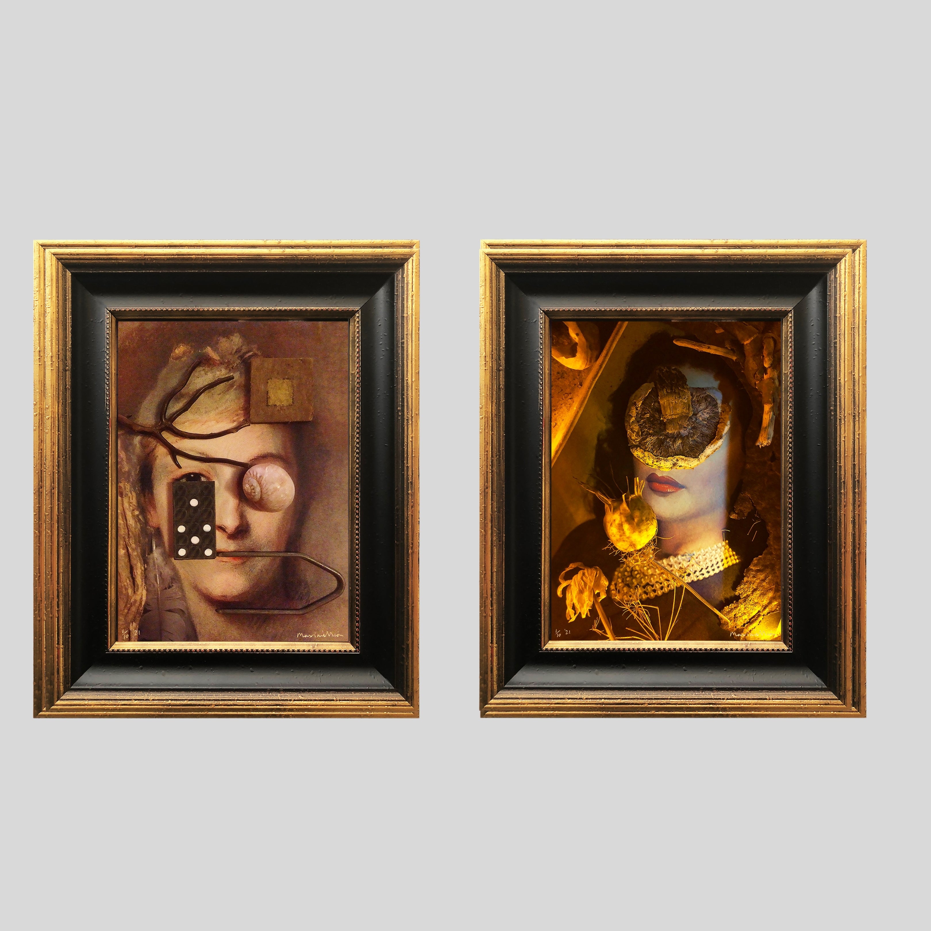 Limited Edition Pair of Prints Entitled Domino & Amanita Virosa